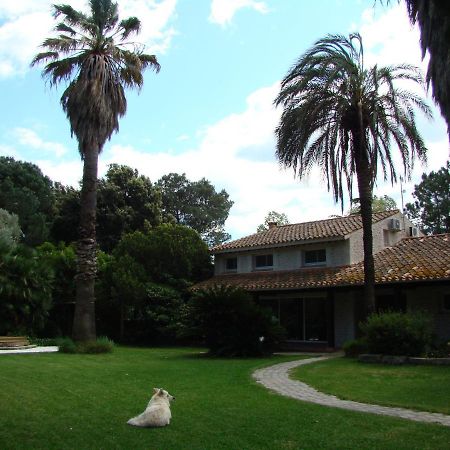 La Villa Saint Andre - Argeles Sur Mer Zewnętrze zdjęcie