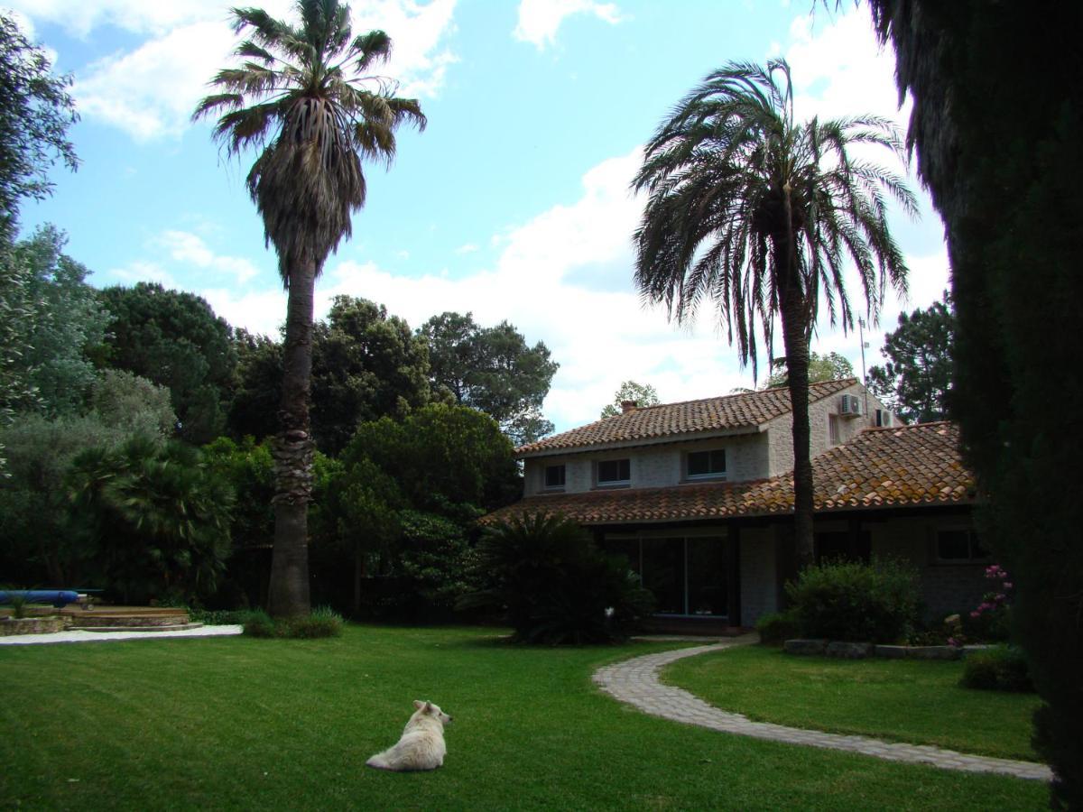 La Villa Saint Andre - Argeles Sur Mer Zewnętrze zdjęcie